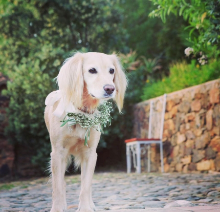 Loja: Florista Suzel - Imagem de Destaque